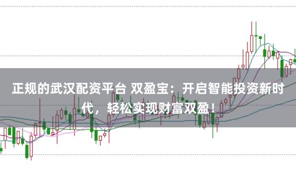 正规的武汉配资平台 双盈宝：开启智能投资新时代，轻松实现财富双盈！