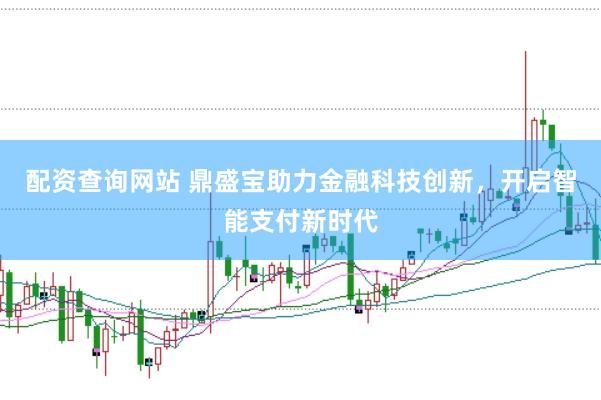 配资查询网站 鼎盛宝助力金融科技创新，开启智能支付新时代