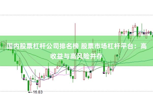国内股票杠杆公司排名榜 股票市场杠杆平台：高收益与高风险并存