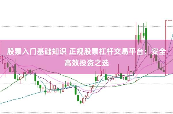 股票入门基础知识 正规股票杠杆交易平台：安全高效投资之选