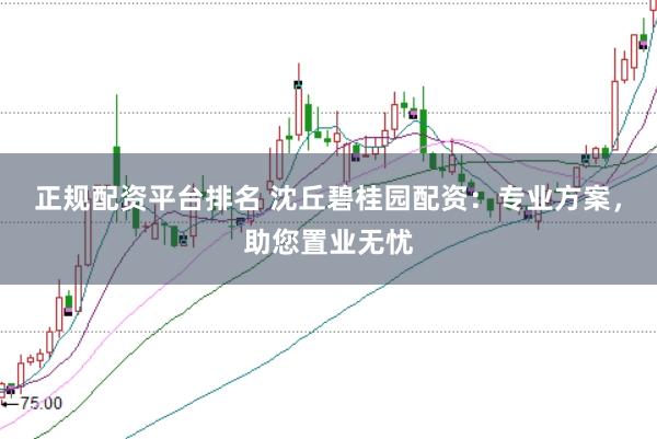 正规配资平台排名 沈丘碧桂园配资：专业方案，助您置业无忧