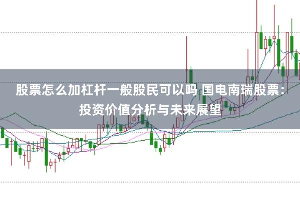 股票怎么加杠杆一般股民可以吗 国电南瑞股票：投资价值分析与未来展望
