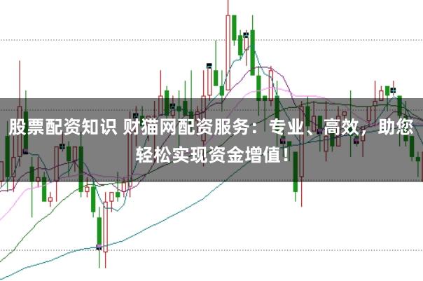 股票配资知识 财猫网配资服务：专业、高效，助您轻松实现资金增值！
