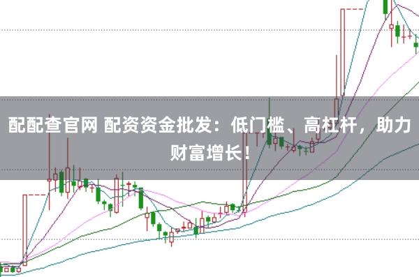 配配查官网 配资资金批发：低门槛、高杠杆，助力财富增长！
