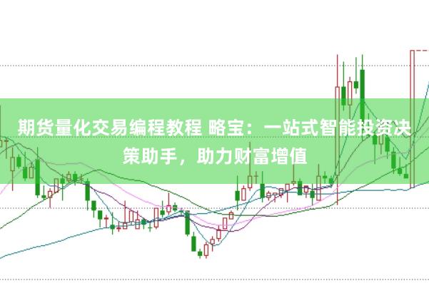 期货量化交易编程教程 略宝：一站式智能投资决策助手，助力财富增值