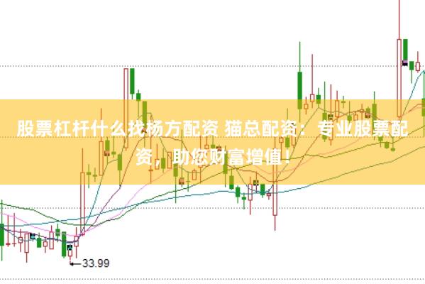 股票杠杆什么找杨方配资 猫总配资：专业股票配资，助您财富增值！