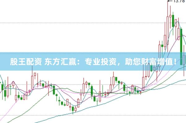 股王配资 东方汇赢：专业投资，助您财富增值！