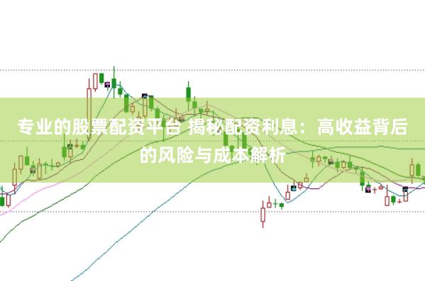 专业的股票配资平台 揭秘配资利息：高收益背后的风险与成本解析
