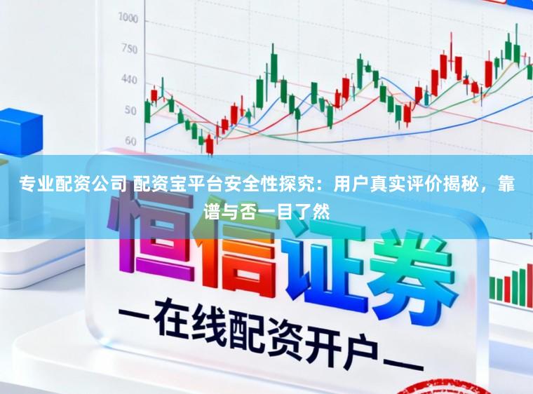 专业配资公司 配资宝平台安全性探究：用户真实评价揭秘，靠谱与否一目了然